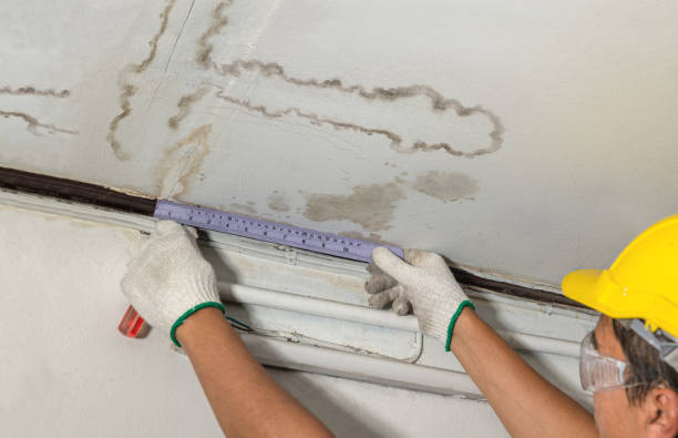 Reliable Sewage Cleanup contractor in Blairsville, GA by Water Damage Irwin